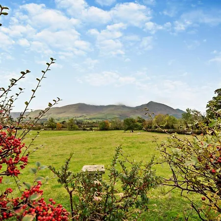 Rosie * 巴森斯韦特